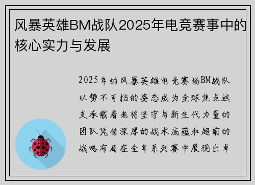 风暴英雄BM战队2025年电竞赛事中的核心实力与发展